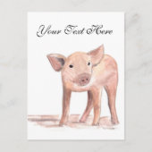 ベビー豚ぶた動物の水の色のファームかわいい ポストカード (正面)