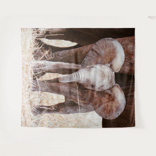 ベビー象かわいいアフリカゾウと母 タペストリー (正面(横))