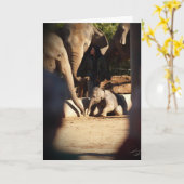 ベビー象のバースデー・カード カード (黄色い花)