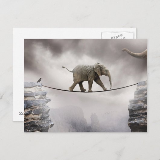 ベビー象の歩行綱渡り ポストカード (正面/裏面)