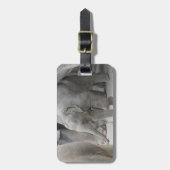 ベビー象の荷物のラベル ラゲッジタグ (正面縦)