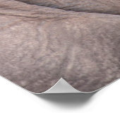 ベビー象スナグルズ ポスター (角)