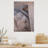 ベビー象スナグルズ ポスター (キッチン)