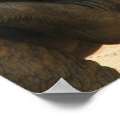 ベビー象プリント ポスター (角)