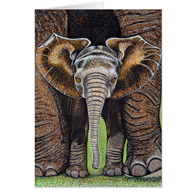 ベビー象 (正面)