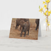 ベビー象 カード (黄色い花)