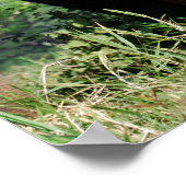 ベビー象 ポスター (角)