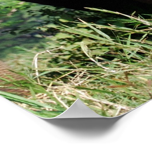 ベビー象 ポスター (角)