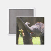 ベビー象 マグネット (正面/裏面)