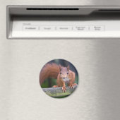 ベビー赤磁石 マグネット (インサイチュ (食洗機))