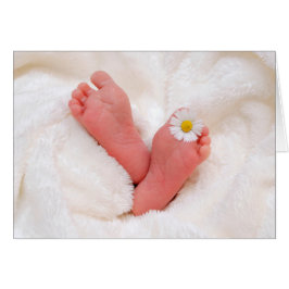 ベビー足とデイジー