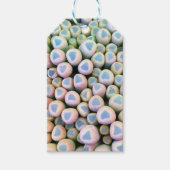 ベビー足指の多肉性ギフトラベル ギフトタグ (正面)