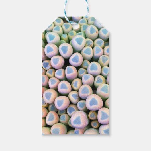 ベビー足指の多肉性ギフトラベル ギフトタグ (正面)