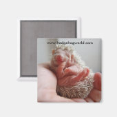 ベビー足磁石 マグネット (正面/裏面)