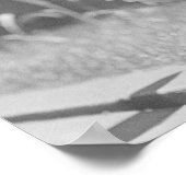 ベビー遊のチューバ， 1923.ヴィンテージ写真 ポスター (角)