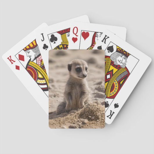 ベビー遊のマーカットが砂の中に トランプ (裏面)
