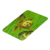 ベビー金魚変異柔軟マグネット マグネット (左側)