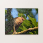 ベビー開成(鳥)ショウジョウコウカンチョウ写真ジグソーパズル ジグソーパズル (横)