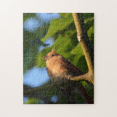 ベビー開成(鳥)ショウジョウコウカンチョウ写真ジグソーパズル ジグソーパズル (縦)