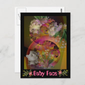 ベビー顔 ポストカード (正面/裏面)