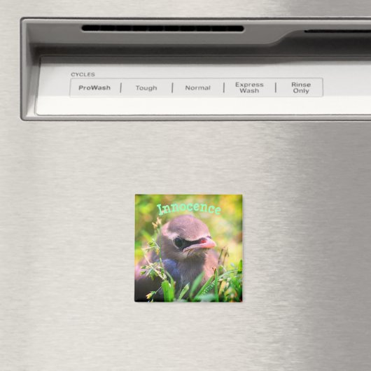 ベビー鳥の無実感動的 マグネット (インサイチュ (食洗機))