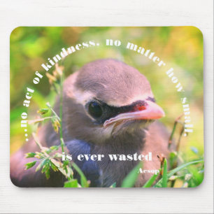 ベビー鳥の親切引用文 感動的 マウスパッド