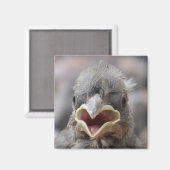 ベビー鳥姿勢磁石 マグネット (正面/裏面)