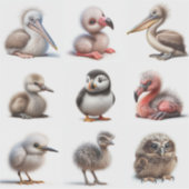 ベビー鳥 シール (正面)