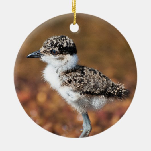 ベビー鳥 セラミックオーナメント (裏面)