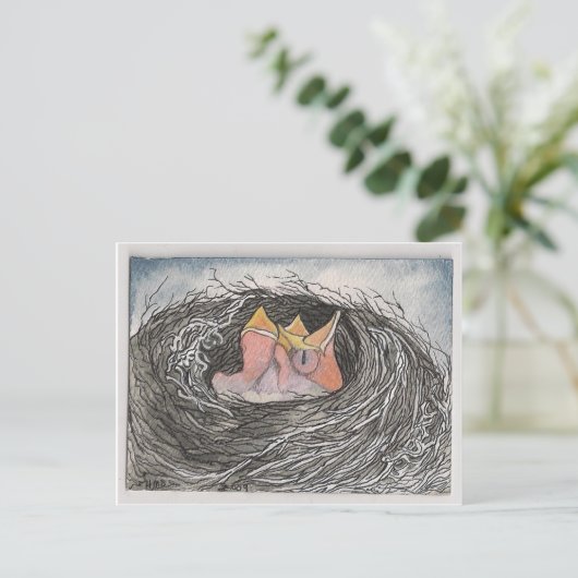 ベビー鳥 ポストカード (スタンド正面)