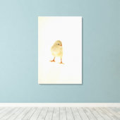 ベビー鶏 キャンバスプリント (インサイチュ (ウッドフロア))