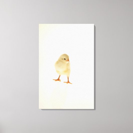 ベビー鶏 キャンバスプリント (正面)