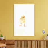 ベビー鶏 キャンバスプリント (インサイチュ (リビング))