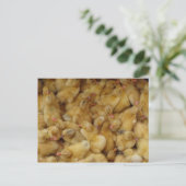 ベビー鶏 ポストカード (スタンド正面)