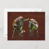 ベビー鹿と蝶 ポストカード (正面/裏面)