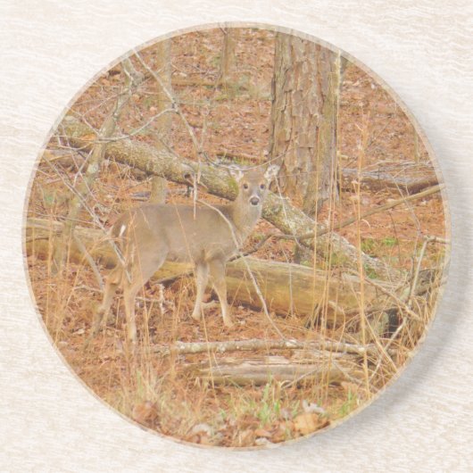 ベビー鹿の初冬 コースター (正面)
