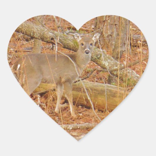 ベビー鹿の初冬 ハートシール (正面)