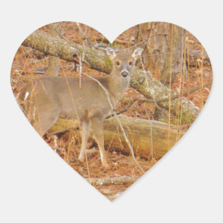 ベビー鹿の初冬 ハートシール