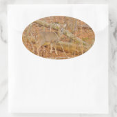 ベビー鹿の初冬 楕円形シール (バッグ)