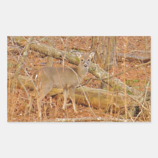 ベビー鹿の初冬 長方形シール (正面)