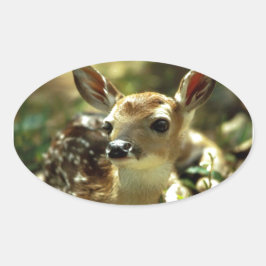 ベビー鹿の贈り物 楕円形シール