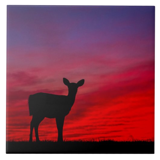 ベビー鹿セラミックタイル タイル (正面)