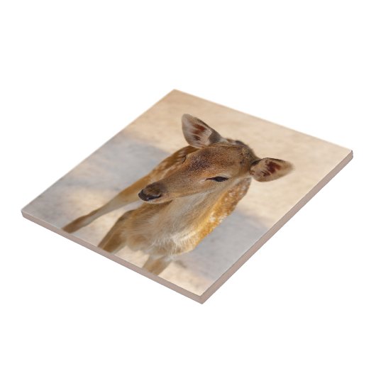 ベビー鹿 タイル (側面)
