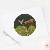 ベビー鹿 ラウンドシール (封筒)