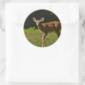 ベビー鹿 ラウンドシール (バッグ)