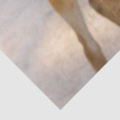 ベビー鹿 薄葉紙 (詳細)