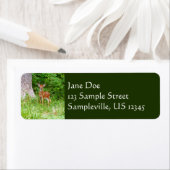 ベビー鹿in the Woods自然写真 ラベル (インサイチュ)