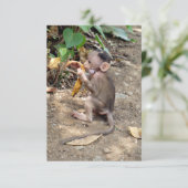 ベビー (スタンド正面)