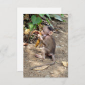 ベビー (正面/裏面)