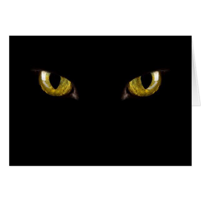 ベビー (正面横)